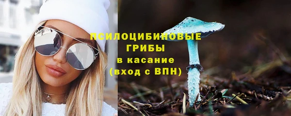 индика Балахна