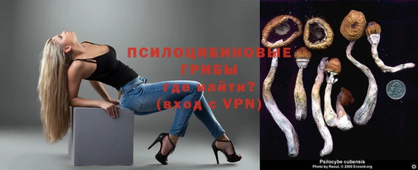 стафф Баксан