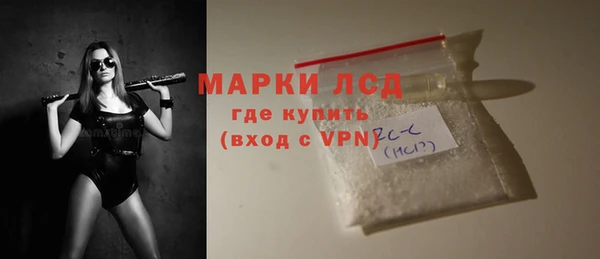 индика Балахна