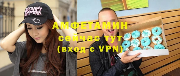 индика Балахна