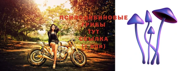 стафф Баксан