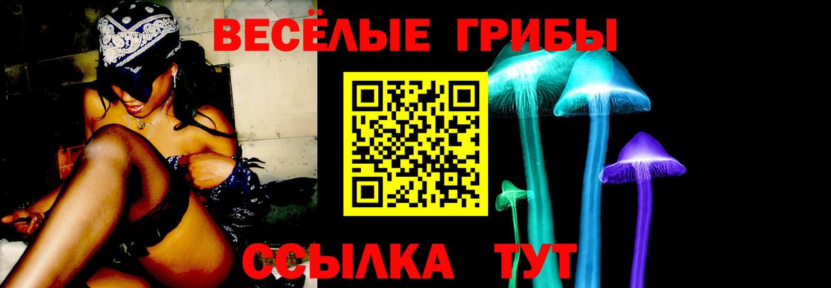 Галлюциногенные грибы Psilocybine cubensis  Галлюциногенные грибы прущие грибы  Вход с VPN  Борисоглебск 